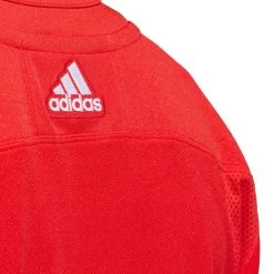 DETROIT RED WINGS ADIDAS ADIZERO PRIMEGREEN AUTHENTIC RED HOME JERSEY -Professional Hockey Equipment Store DETROIT RED WINGS ADIDAS ADIZERO PRIMEGREEN AUTHENTIC RED HOME JERSEY COLLAR